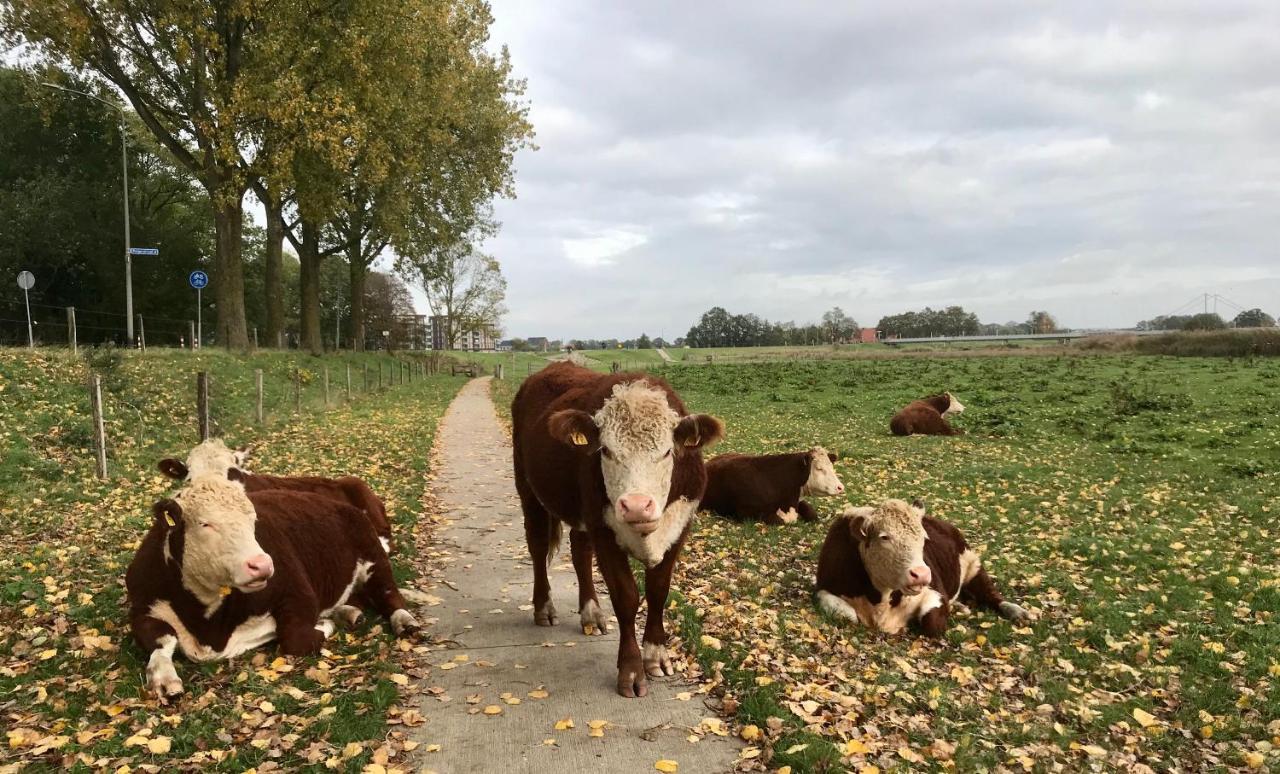 B&B Tussen Vecht En Veer ハルデンベルグ エクステリア 写真