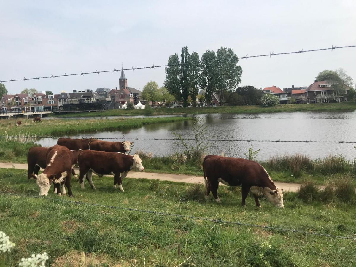 B&B Tussen Vecht En Veer ハルデンベルグ エクステリア 写真